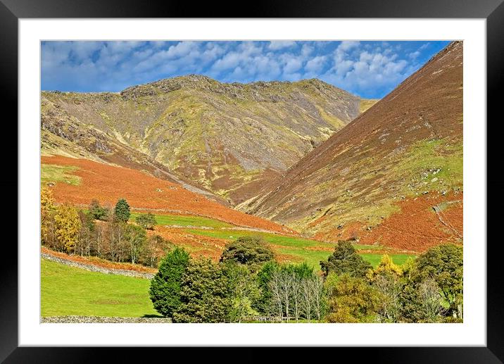 Autumn View of Blencathra Framed Mounted Print by Martyn Arnold
