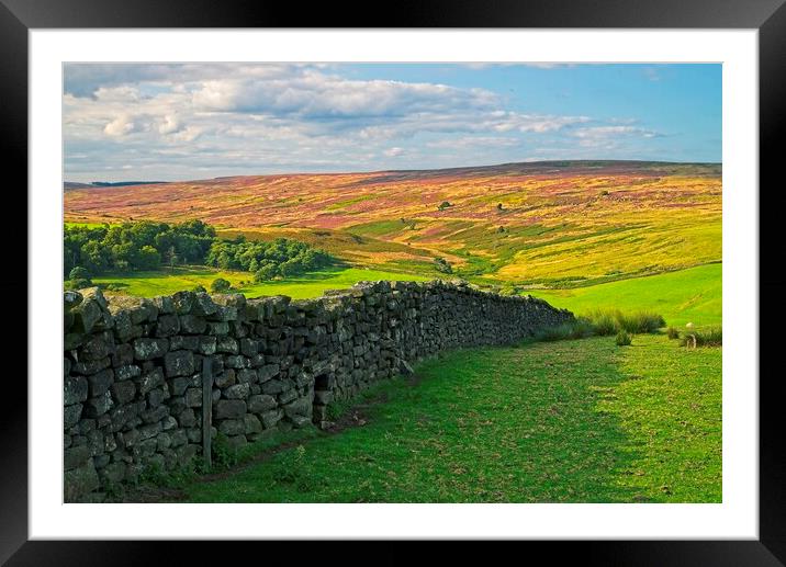 North York Moors Framed Mounted Print by Martyn Arnold