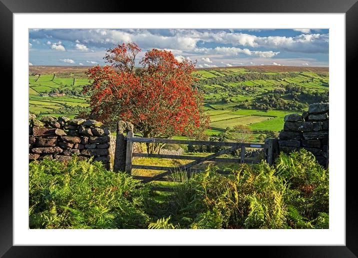 Footpath to Glaisdale on the North York Moors Framed Mounted Print by Martyn Arnold