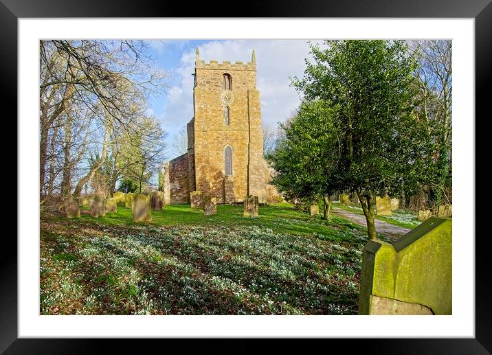 Churchyard Spring Snowdrops Framed Mounted Print by Martyn Arnold