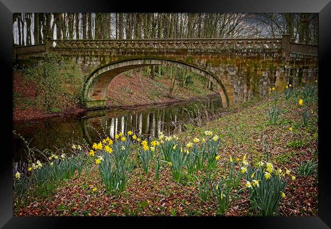 Serpentine Bridge, Hardwick Park, Co. Durham Framed Print by Martyn Arnold