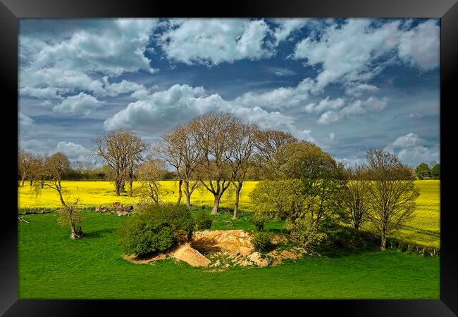 Fields Trees and Cloudy Sky Framed Print by Martyn Arnold