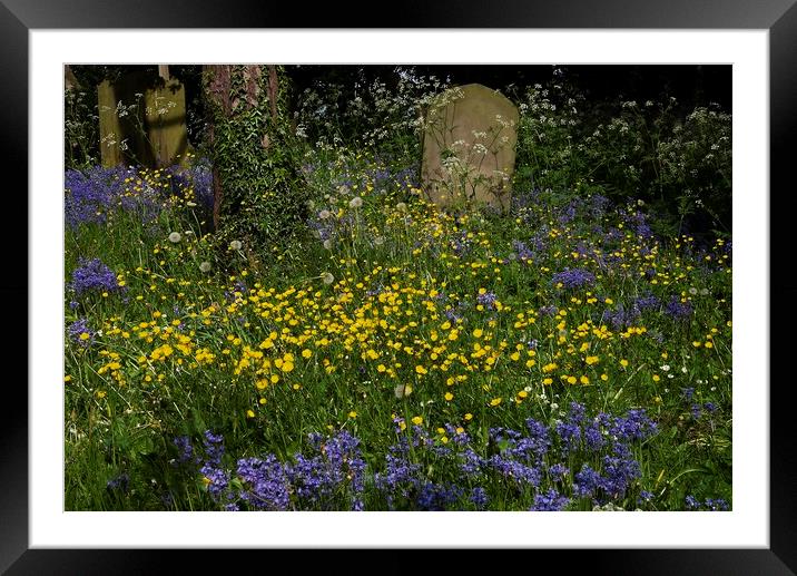 The Resting Place Framed Mounted Print by Martyn Arnold