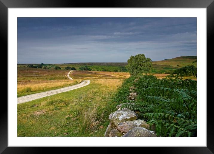 North York Moors Landscape Framed Mounted Print by Martyn Arnold