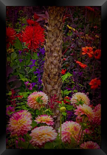 Summer Garden Flowers Framed Print by Martyn Arnold