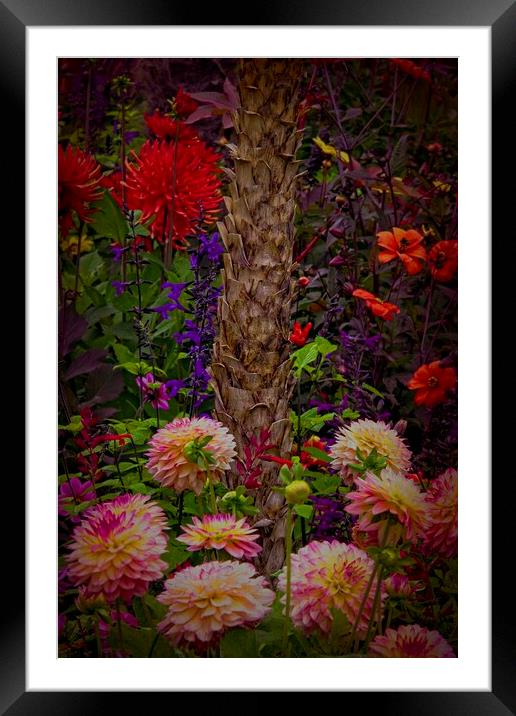 Summer Garden Flowers Framed Mounted Print by Martyn Arnold