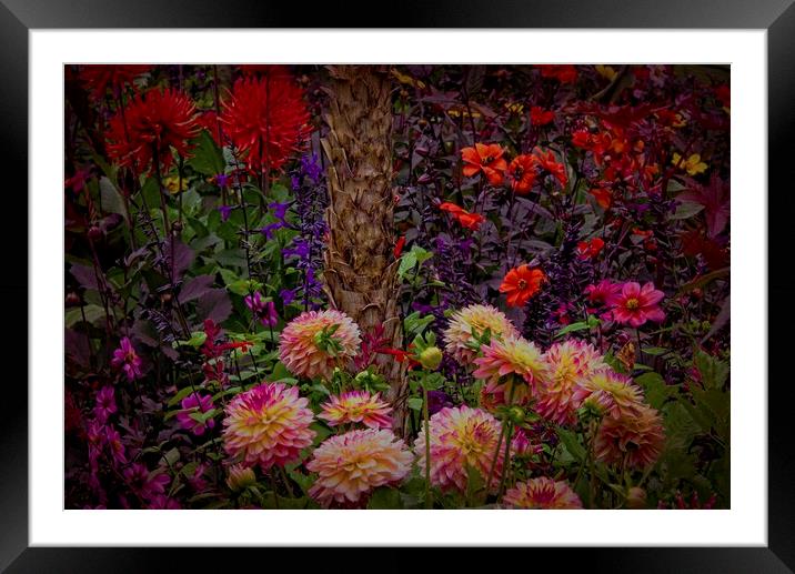 Summer Flowers Framed Mounted Print by Martyn Arnold