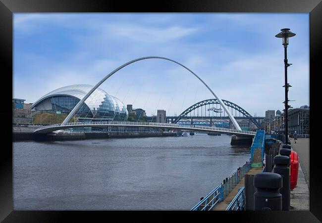 Newcastle Quayside and Bridges Framed Print by Martyn Arnold