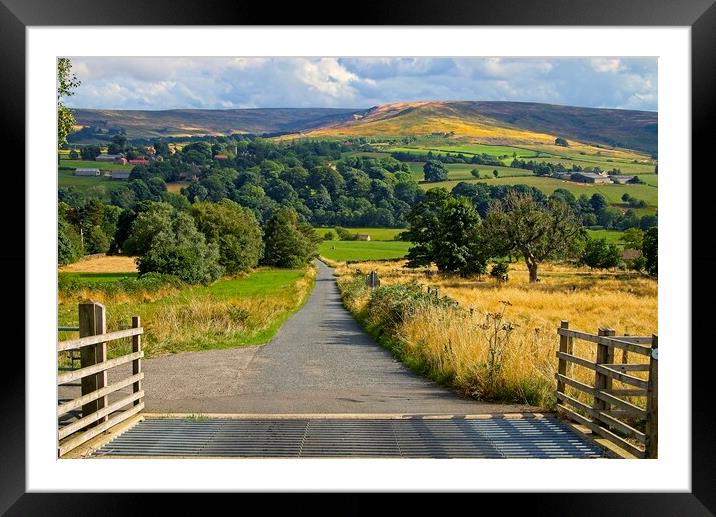 Westerdale-Road to North York Moors National Park Framed Mounted Print by Martyn Arnold