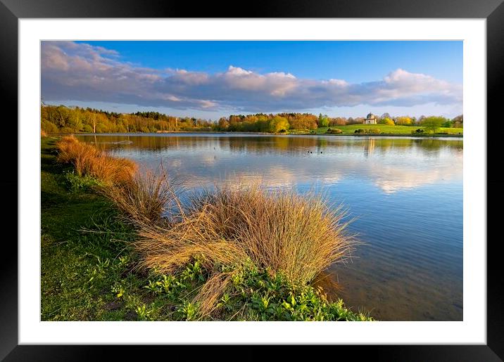 Serene Reflections at Hardwick Park, County Durham Framed Mounted Print by Martyn Arnold