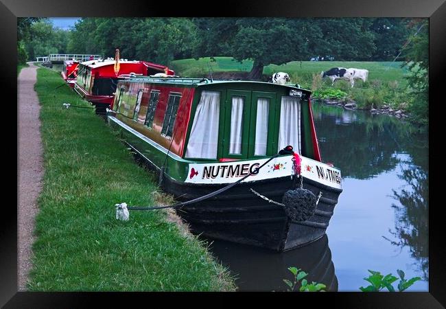 Canal Narrow Boats on the Leeds Canal at Skipton Framed Print by Martyn Arnold