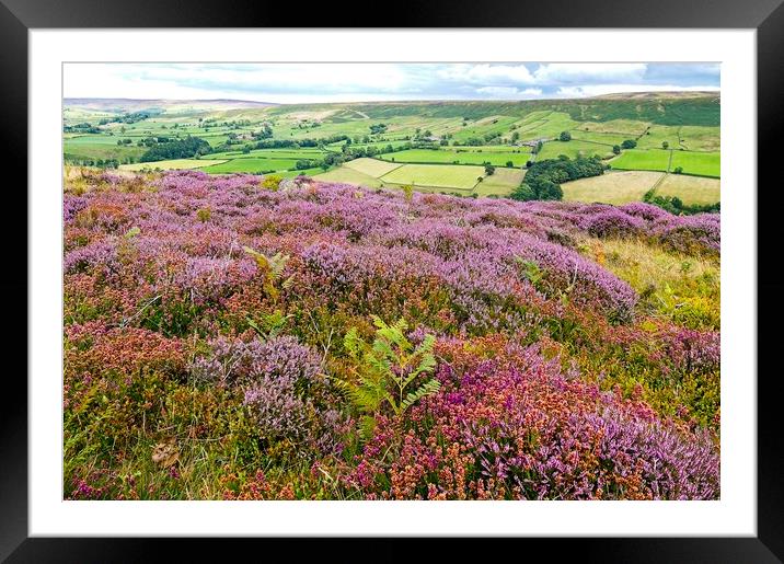Heather Moorland on the North York Moors Framed Mounted Print by Martyn Arnold