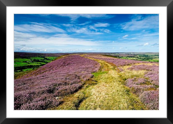 Westerdale Moorland Heather on Yorkshire Moors Framed Mounted Print by Martyn Arnold