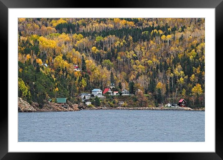 Autumn Trees in Saguenay Fjord, Quebec, Canada Framed Mounted Print by Martyn Arnold