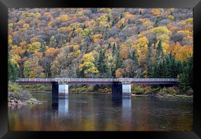 Fall Colours in Quebec Canada Framed Print by Martyn Arnold