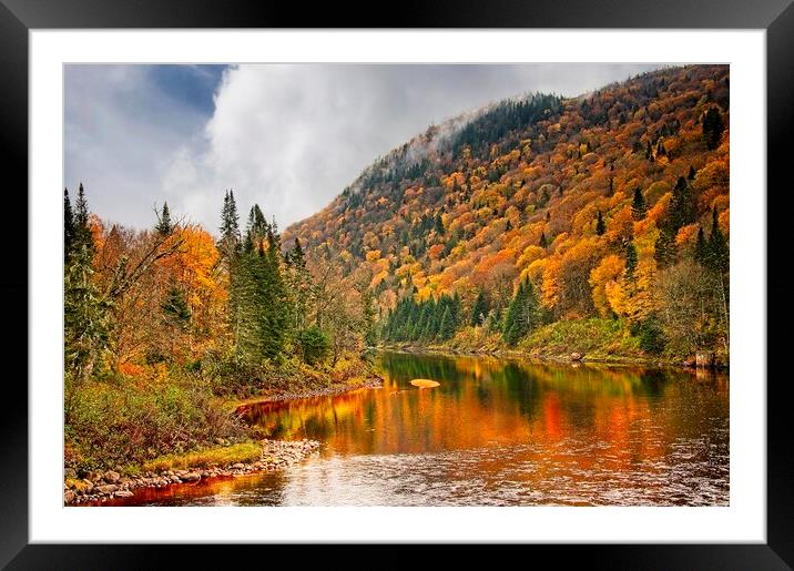 Fall Colours in Canada Framed Mounted Print by Martyn Arnold