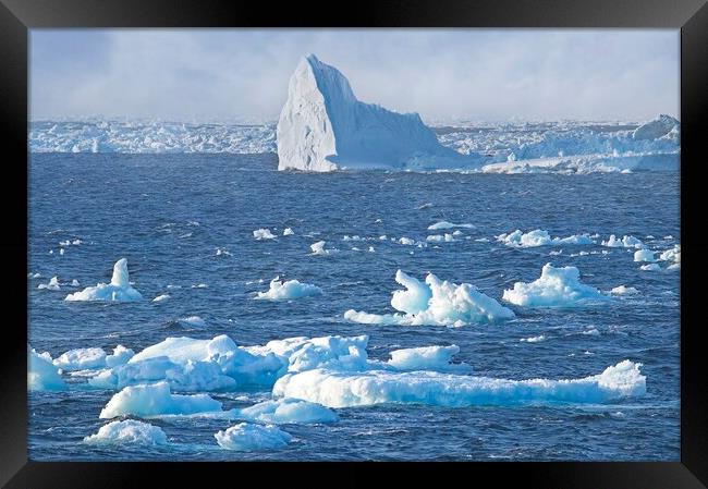 Arctic Icebergs in the Labrador Sea Framed Print by Martyn Arnold