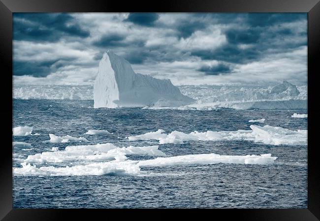 Icebergs in the Labrador Sea Framed Print by Martyn Arnold
