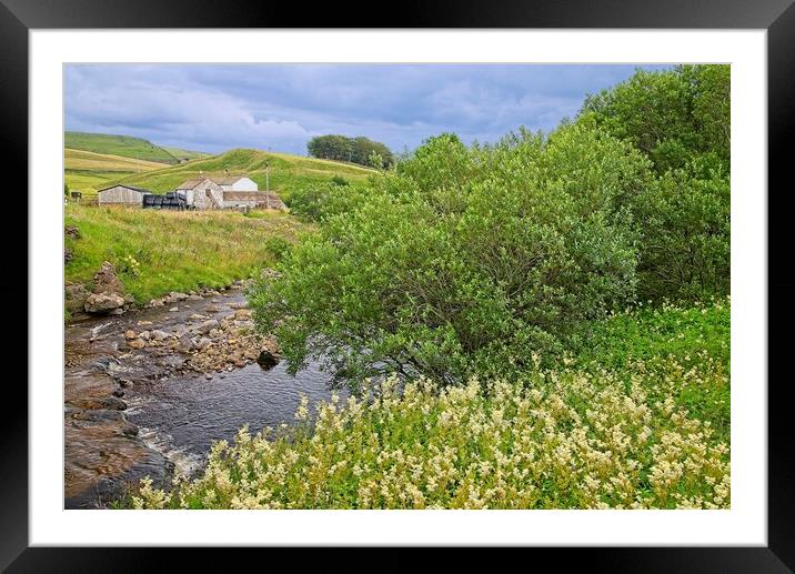 Teesdale Countryside Framed Mounted Print by Martyn Arnold
