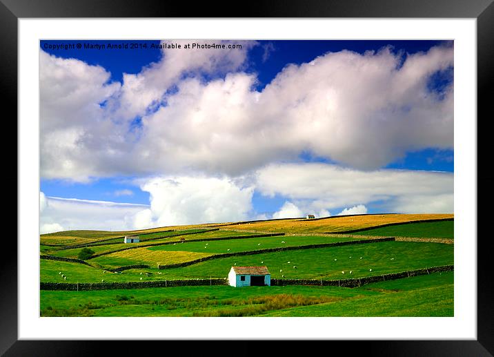 Barns in Landscape North Pennines Framed Mounted Print by Martyn Arnold