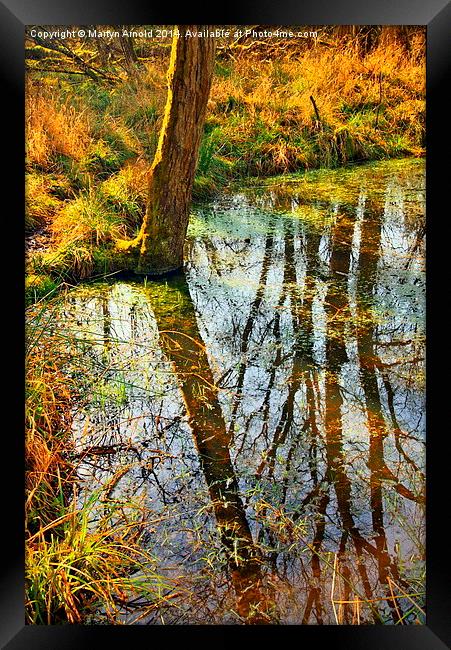 Reflections on the Pond Framed Print by Martyn Arnold