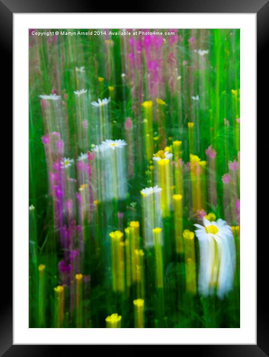 Wild Flower Abstract Framed Mounted Print by Martyn Arnold
