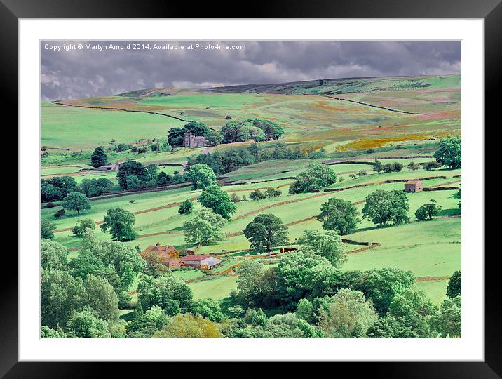 Swaledale near Reeth in the Yorkshire Dales Framed Mounted Print by Martyn Arnold