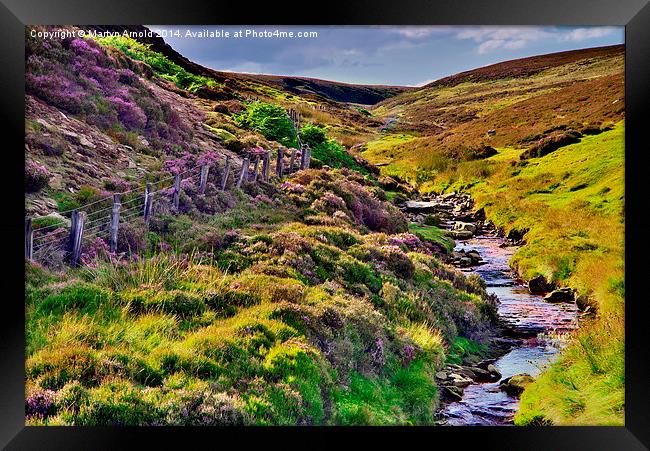 Moorland Stream in the Yorkshire Dales Framed Print by Martyn Arnold