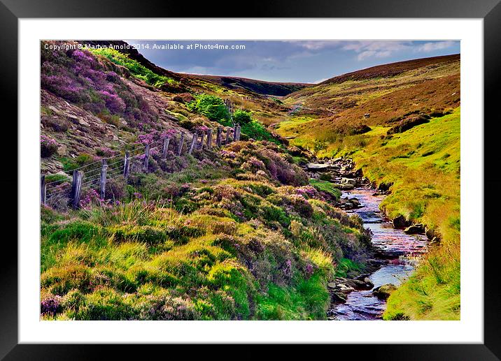 Moorland Stream in the Yorkshire Dales Framed Mounted Print by Martyn Arnold