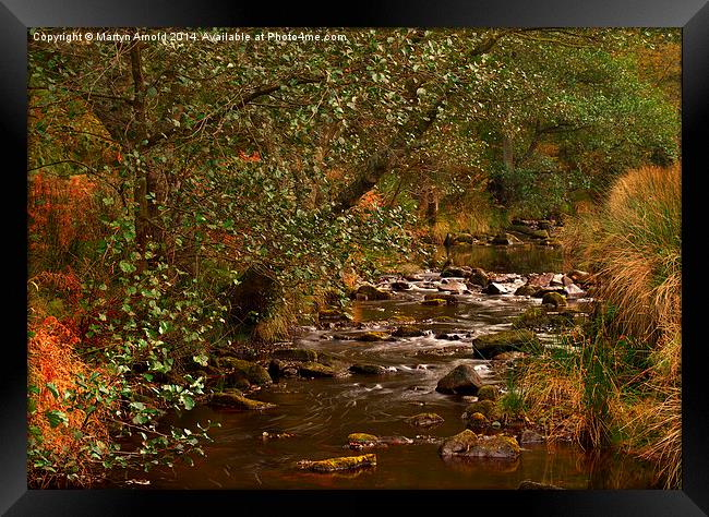 Yorkshire Moors Stream in Autumn Framed Print by Martyn Arnold