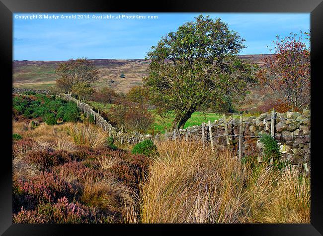  Yorkshire Moors Scenery in Autumn Framed Print by Martyn Arnold