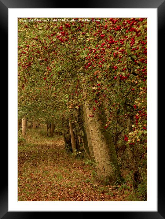  Autumn Colours Framed Mounted Print by Martyn Arnold