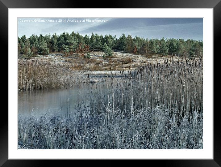  Frosty Morning Framed Mounted Print by Martyn Arnold