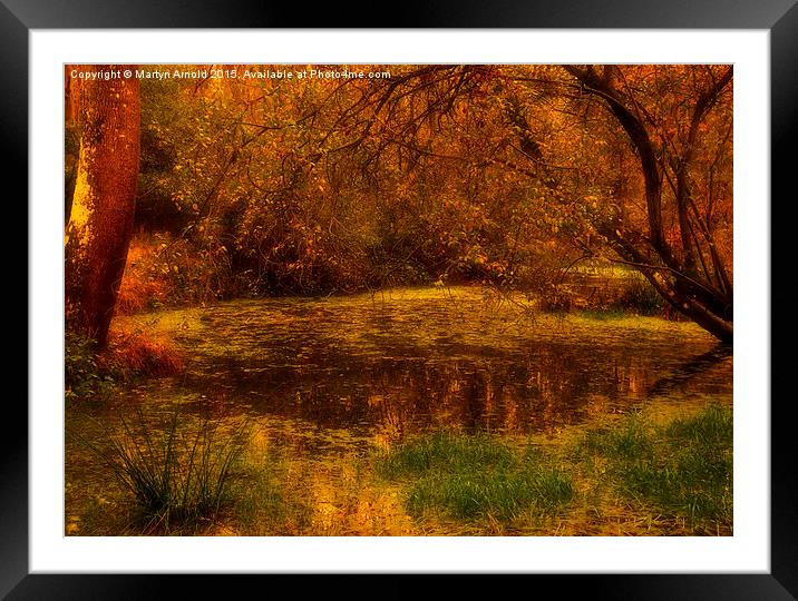  The Secret Pond Framed Mounted Print by Martyn Arnold
