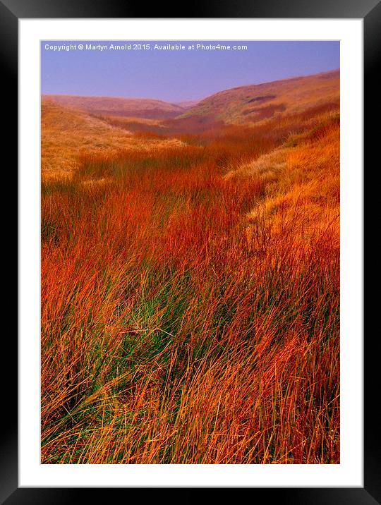 Moorland Grass in the Yorkshire Dales Framed Mounted Print by Martyn Arnold