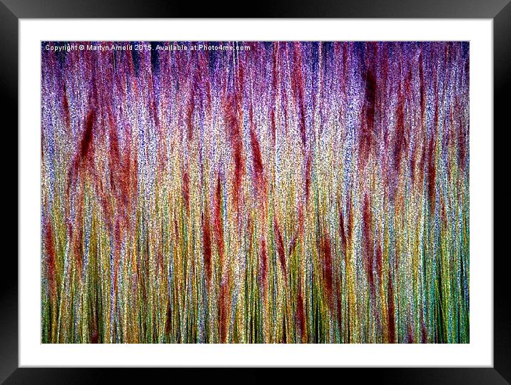  lakeside Grasses - Abstract Framed Mounted Print by Martyn Arnold