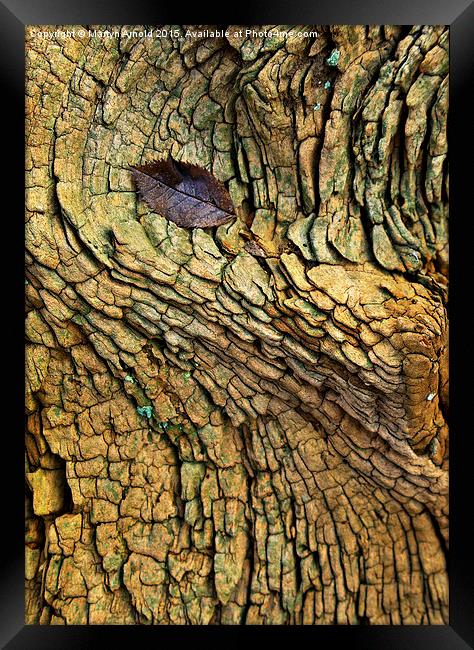 Decaying Tree Abstract Framed Print by Martyn Arnold
