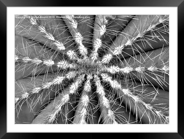 Cactus Symmetry Framed Mounted Print by Martyn Arnold