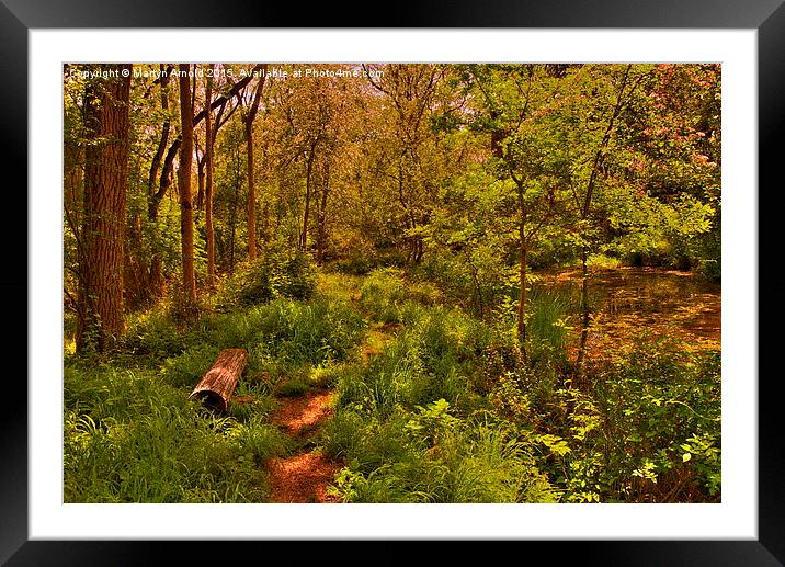 A Secluded Moment Framed Mounted Print by Martyn Arnold