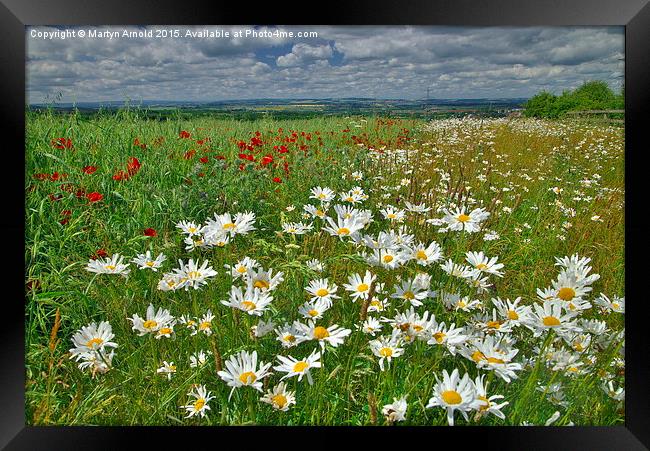  Summer Fields in County Durham Framed Print by Martyn Arnold