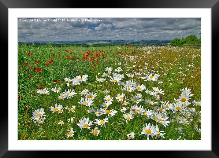  Summer Fields in County Durham Framed Mounted Print by Martyn Arnold