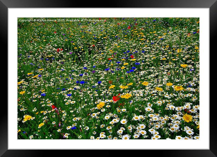  Wildflower Meadow Framed Mounted Print by Martyn Arnold