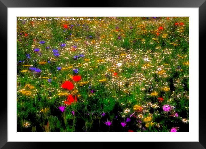  Dreamy Wildflowers Framed Mounted Print by Martyn Arnold