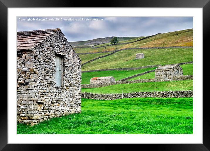 Yorkshire Dales Stone Barns at Muker Framed Mounted Print by Martyn Arnold