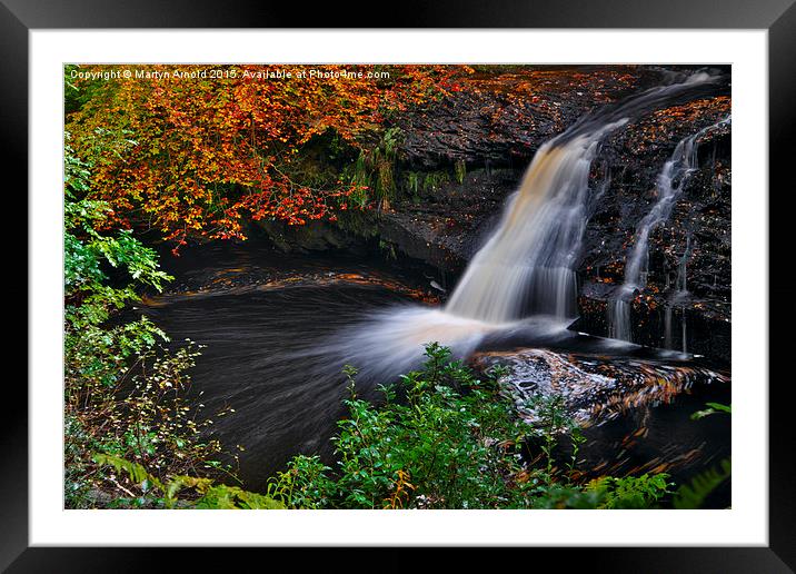  Hamsterley Forest waterfall in Autumn Framed Mounted Print by Martyn Arnold