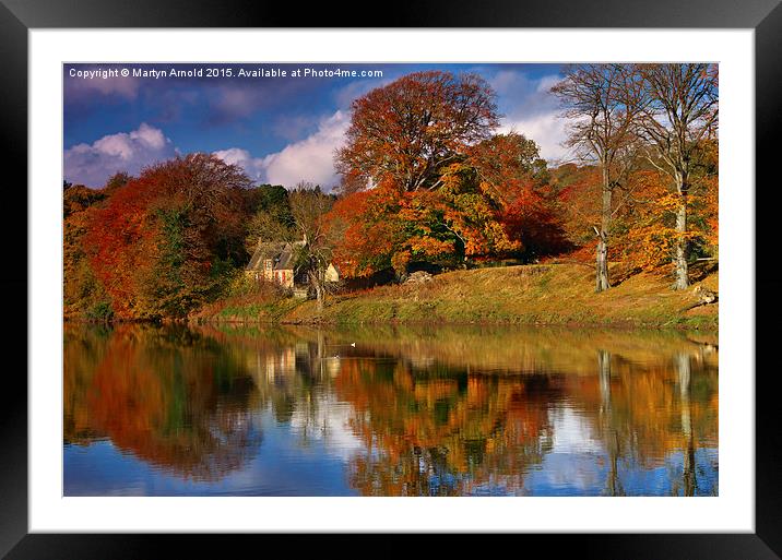  Autumn on the River Tyne at Hexham Framed Mounted Print by Martyn Arnold