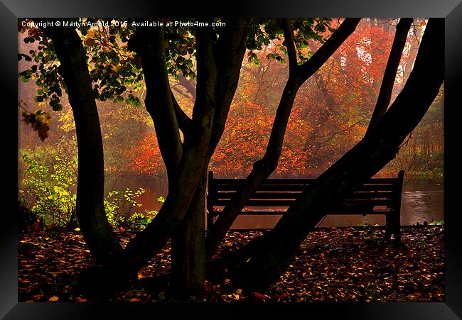 Bench in the Park Framed Print by Martyn Arnold