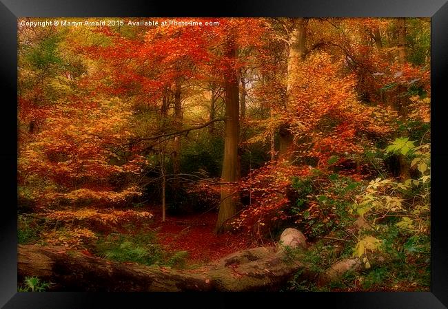  Dreamy Autumn Woodland Colours Framed Print by Martyn Arnold