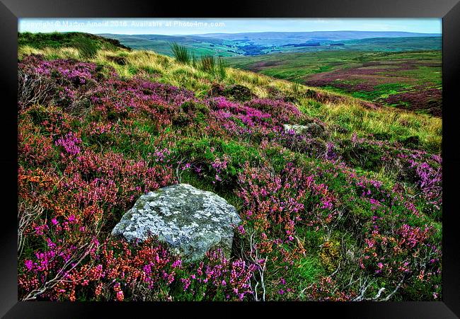  Heather on the Grouse Moor Framed Print by Martyn Arnold