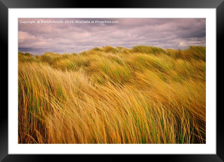 Windswept Grass on the Sand Dunes Framed Mounted Print by Martyn Arnold